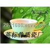 Bone China Coffee Cup