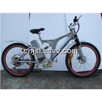 Steel Mountain E-Bike (JSL-TDH038AE)