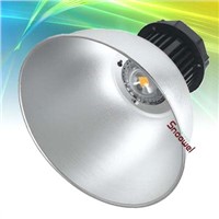 LED Industral Light (30W to 100W)