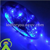 LED Strip Light for Decoration with Waterproof &amp;amp; Energy Saving