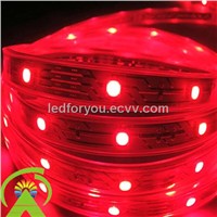 SMD 5050 Flexible Ribbon Light