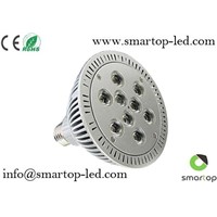 CE/RoHS-Approved LED Cree Bulb (PAR38)