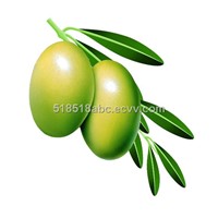 Olive leaf Extract Powder