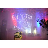 Animation Laser Light for Wedding / Party / Ceremony