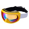 Adult fit ski goggles anti fog OEM