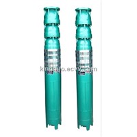 12 Inch Deep Well Submersible Pump (Cast Iron)