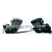 250CC Motocycle Engine (JL253FMM-3 S21E)