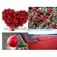 Cranberry Extract Anthocyanin 10%,25%; PAC 10%