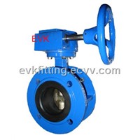 Double Flanged Concentric Butterfly Valve