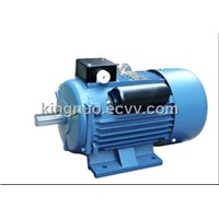 Electric Motor (YC/YCL Series)