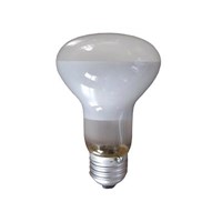 Frosted Glass R63 Infrared Lamp