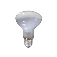 Frosted Glass R80 Infrared Lamp