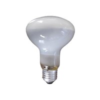 Frosted Glass R95 Infrared Lamp