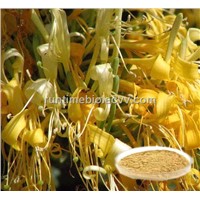 Honeysuckle extract-Chlorogenic acid 25%