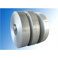 J4/201 Cold Rolled Stainless Steel Strip/ Band