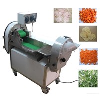 Multi-function Vegetable Cutting Machine