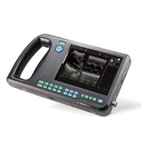Suplly palmsize ultrasound scanner of CLS-3300