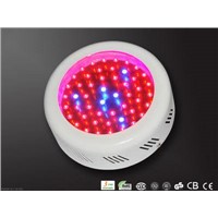 hight power 50W led grow light