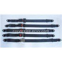 low price 2-point seat safety belt