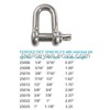 Stainless Steel Shackle & Snap Shackle