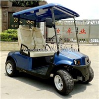 2 seats electric golf carts