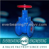 BS PN16 cast iron gate valve