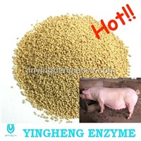 Feed Enzyme for Pig -- AP1021