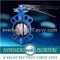 GG25 Butterfly Valve