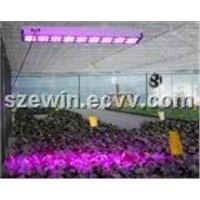 High Power 144*3W LED Hydroponic Lighting for Horticulture