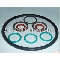 Interchangeable O Ring for Oil Drilling Mud Pump / Oil Pump