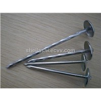 Umbrella Head Roofing Nails with Smooth/Twisted Shank, Various Diameters and Lengths are Available