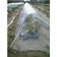 transparent agriculture mulch film with holes