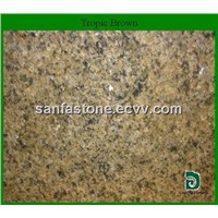 Topic Brown Granite Stone / Polished Tile