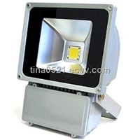 LED Floodlight