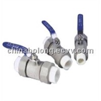 PPR Nylon valve