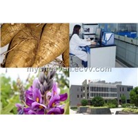 Puerariae Root Powder Extract