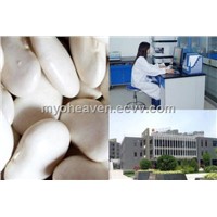 White Kidney Bean Powder Extract
