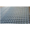 Electro Galvanized Welded Wire Mesh