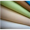 Polyester Taslon Fabric