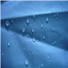Waterproof Nylon Fabric/Nylon Taffeta Fabric