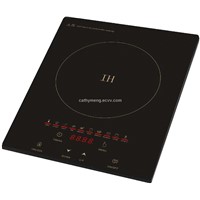 Induction cooker B303