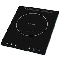 Induction cooker B306