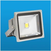 LED Flood Lamp