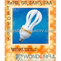 Energy Saving Lamp (WDFLTSZ-2)