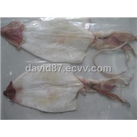 dried squid