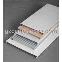 Aluminum Ceiling-C Strip Ceilings