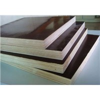 Building Materials Wood Board & Panel