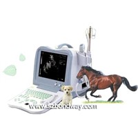 Digital Portable Veterinary Ultrasound Scanner (BW530V)