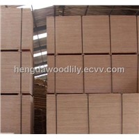 Film Faced Shuttering Plywood/Construction Formwork Plywood/Concrete Formwork Plywood,