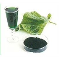 Sodium Copper Chlorophyllin